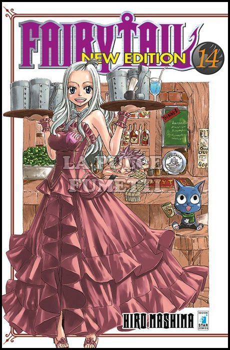 BIG #    14 - FAIRY TAIL NEW EDITION 14